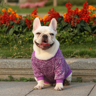 Migliora l'armadio invernale del tuo animale domestico con i vestiti per bulldog francesi di un stilista