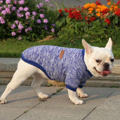 Migliora l'armadio invernale del tuo animale domestico con i vestiti per bulldog francesi di un stilista