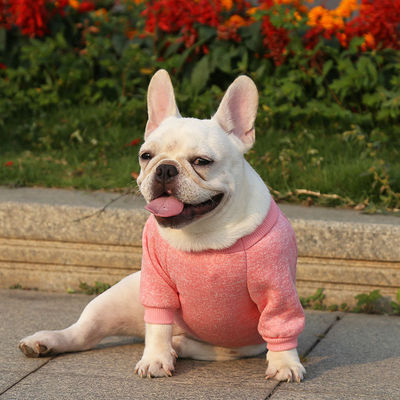 Abbigliamento invernale in poliestere Elegante maglione multicolore per animali da compagnia per abbigliamento per cani