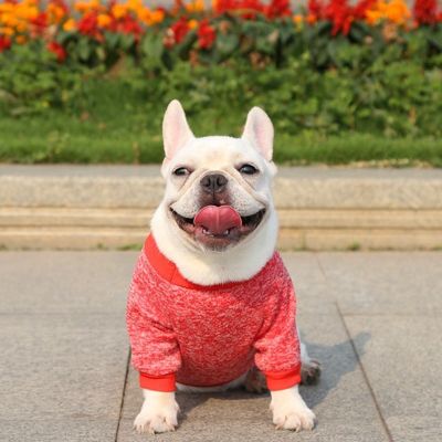 Giubbotti da cane a maglia in poliestere Maglioni per cani piccoli Abbigliamento di lusso Tipo di accessori