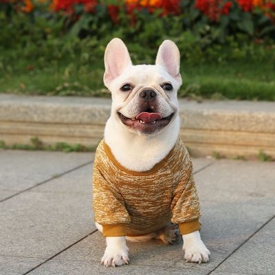 Comodo e sostenibile T-shirt per cani e gatti abbigliamento accessori tipo maglioni maglioni