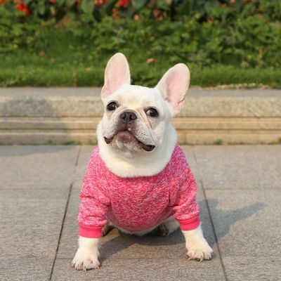 Comodo e sostenibile T-shirt per cani e gatti abbigliamento accessori tipo maglioni maglioni