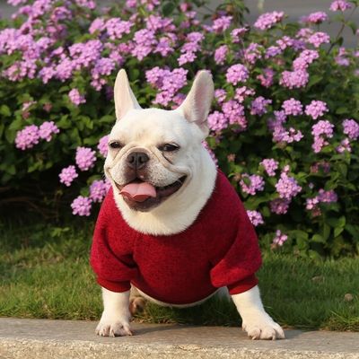 Comodo e sostenibile T-shirt per cani e gatti abbigliamento accessori tipo maglioni maglioni