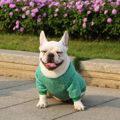 Indumenti da cucciolo a maglia Materiale poliestere a matrice solida per il vostro compagno a quattro zampe