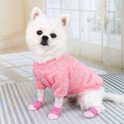 Restate alla moda e accoglienti con questi calzini rosa/blu per cani, un must per l'inverno