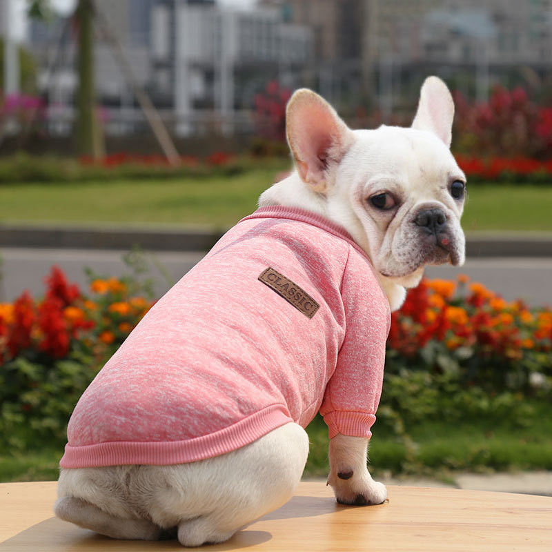 Abbigliamento invernale in poliestere Elegante maglione multicolore per animali da compagnia per abbigliamento per cani
