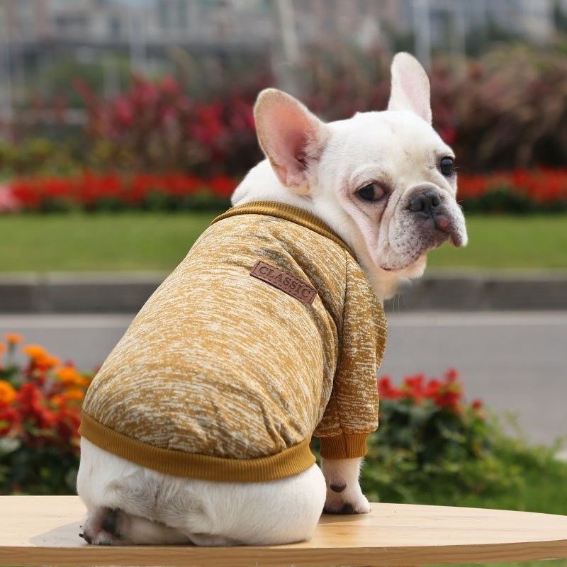 Comodo e sostenibile T-shirt per cani e gatti abbigliamento accessori tipo maglioni maglioni