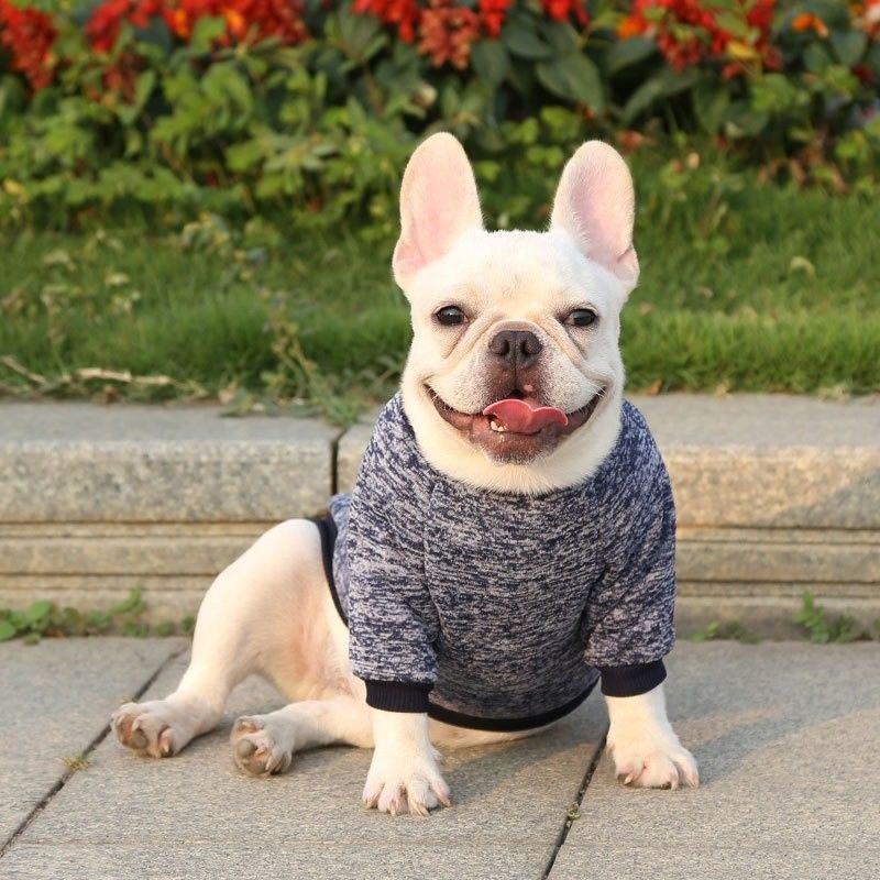 Abbigliamento per animali multi stile casual cane Cappotto caldo invernale per uso esterno nelle dimensioni XS-2XL
