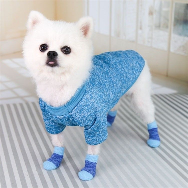 Restate alla moda e accoglienti con questi calzini rosa/blu per cani, un must per l'inverno